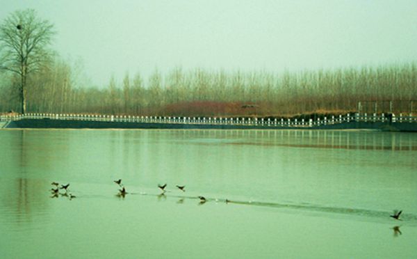 浚河湿地公园