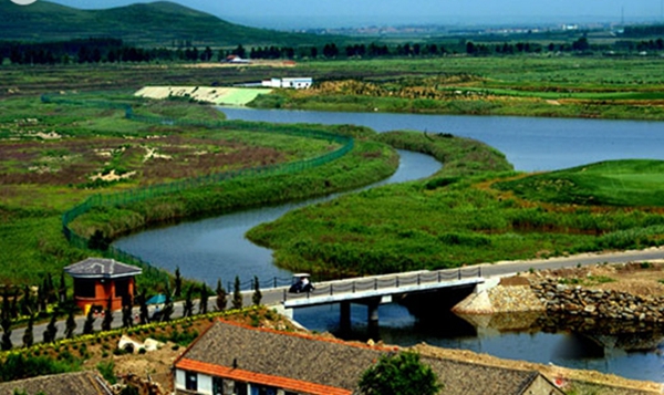 鸡龙河湿地