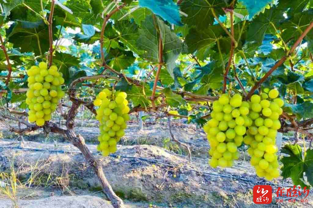 285d87e3ba6722fdbf8889f53616be70_20250909063512897.jpg 285d87e3ba6722fdbf8889f53616be70_20250909063512897.jpg