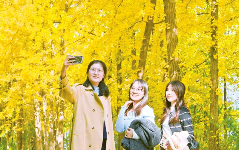 临沂：淡妆浓抹总相宜