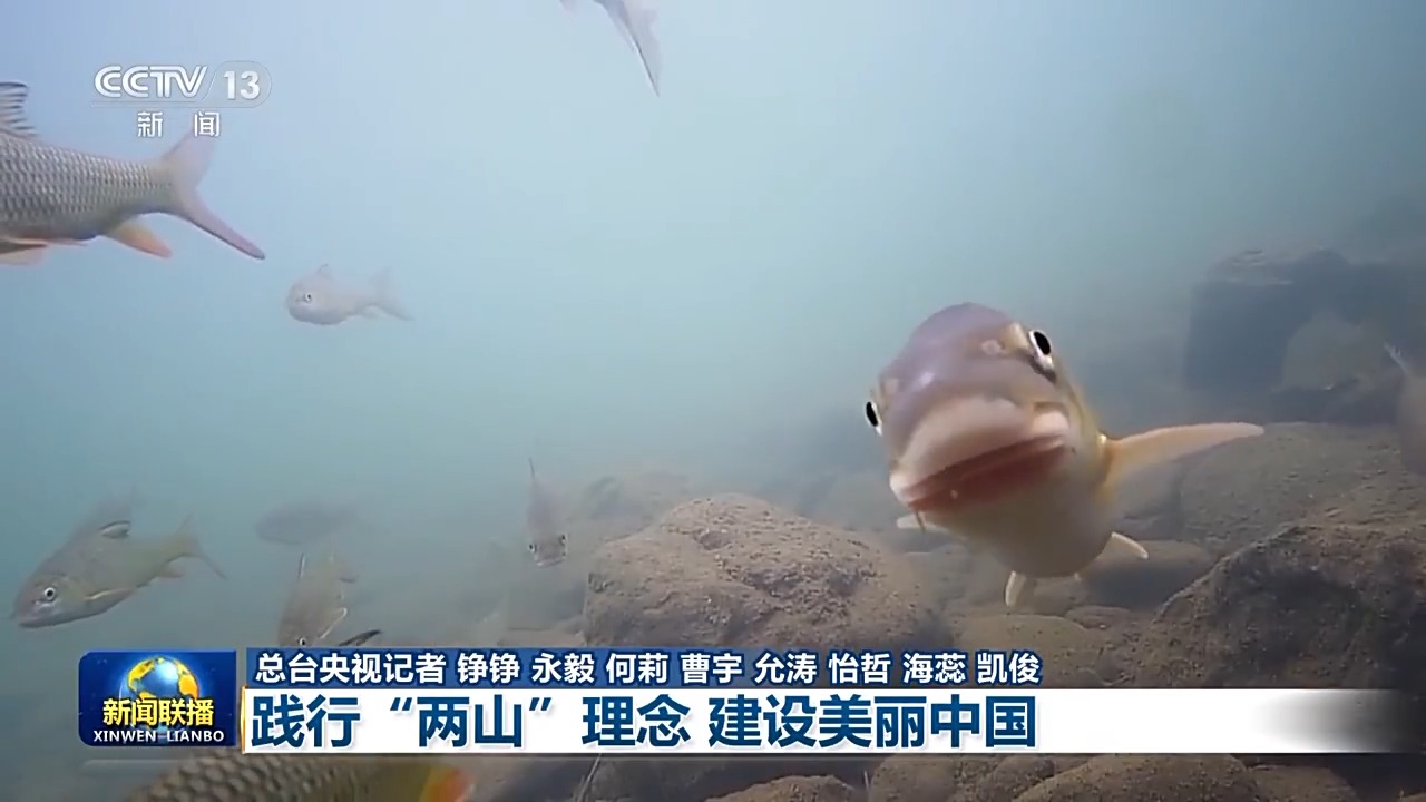 5ae4b952e98dc98860c0a576367cafff_9b8c8e3aa0bc4a4a878249bd56f5b255.jpeg