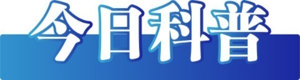 17b681fdcee1a3d97993bfb07c48a534_2025060583de9789107b40e2be8f524e2ecfedb9_202506050d2687510722497f9d21550843791540.jpg