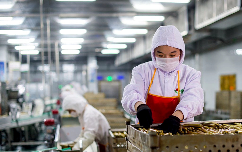 临沂兰山区：优质项目为“万亿城市”助跑