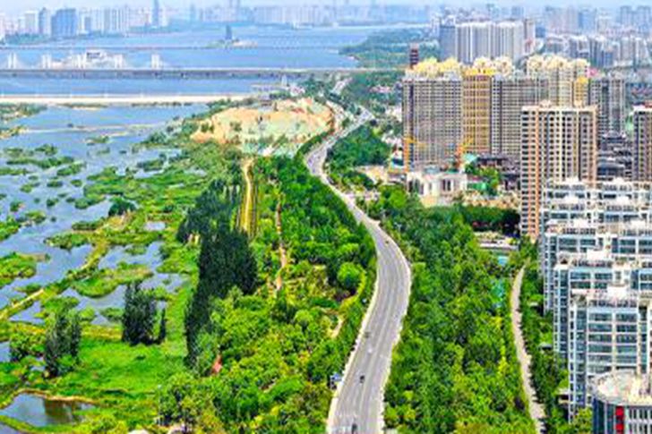 图说临沂 | 植树正当时：十载播绿 青山可鉴