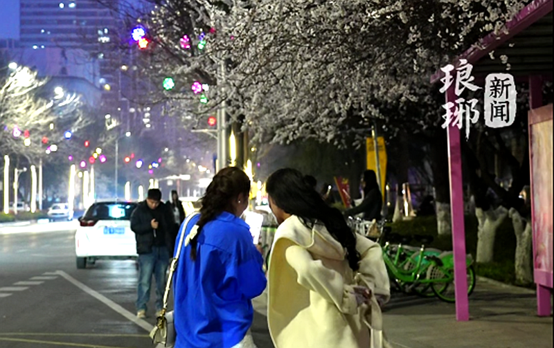 网友昨天喊话，站牌今天焕新 临沂最美公交站2.0上线