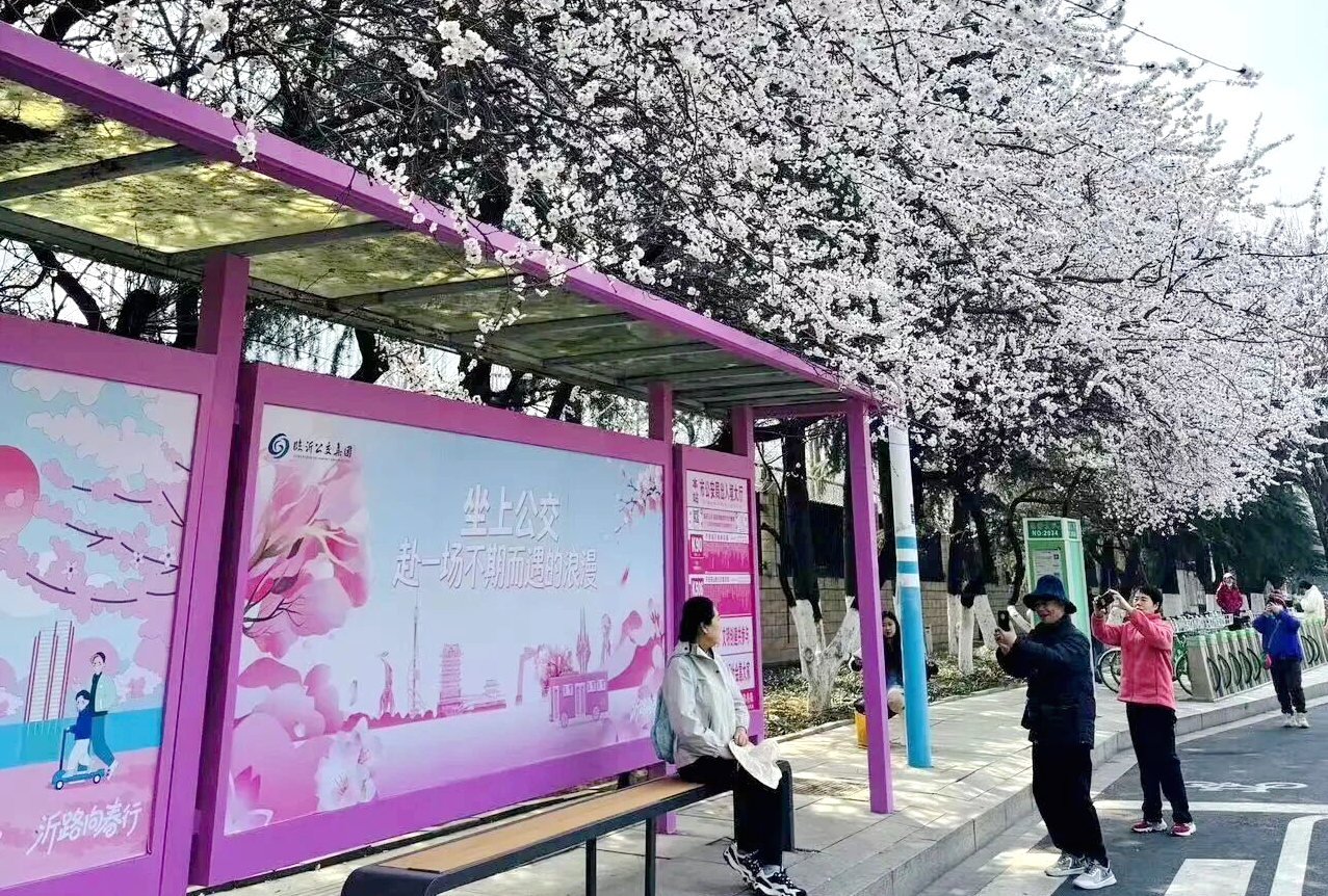 临沂中心城区公交赏花攻略来啦！