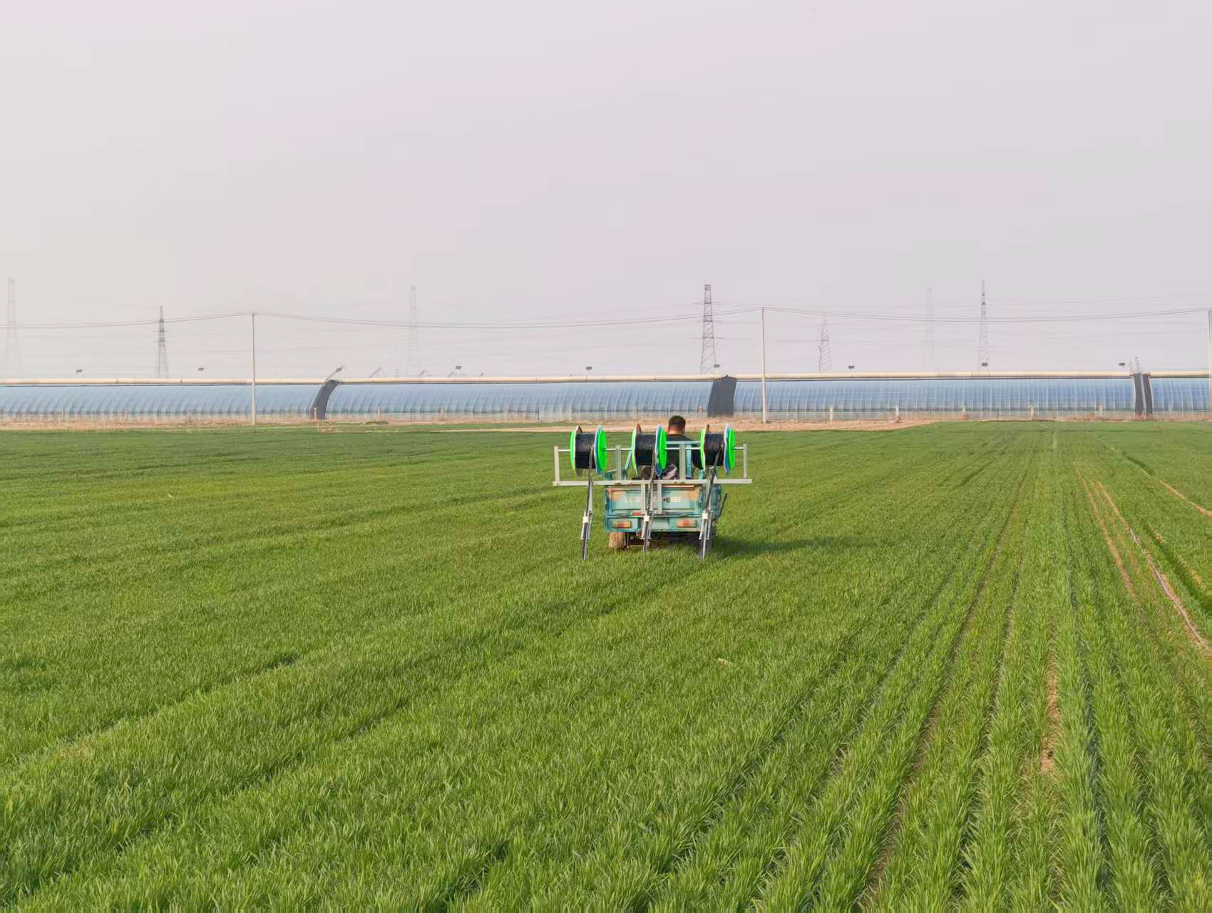 晚播弱苗如何“逆袭”？临沂“四新”模式里的春管答卷