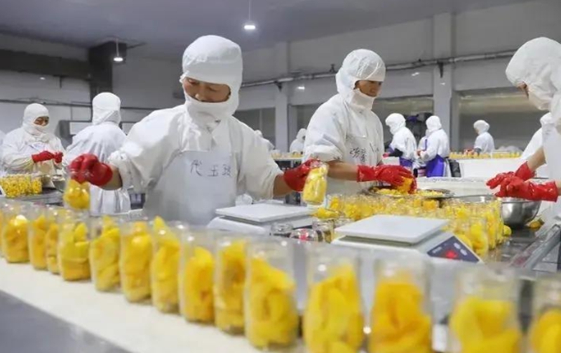 临沂平邑：以“2+4”产业链重塑工业经济新格局