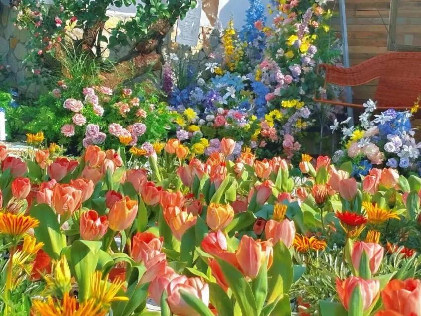 我们的节日·清明丨春暖花开正当时 临沂清明出游地图上线