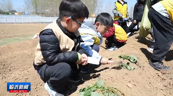 清明踏青享春光 多彩活动醉沂蒙