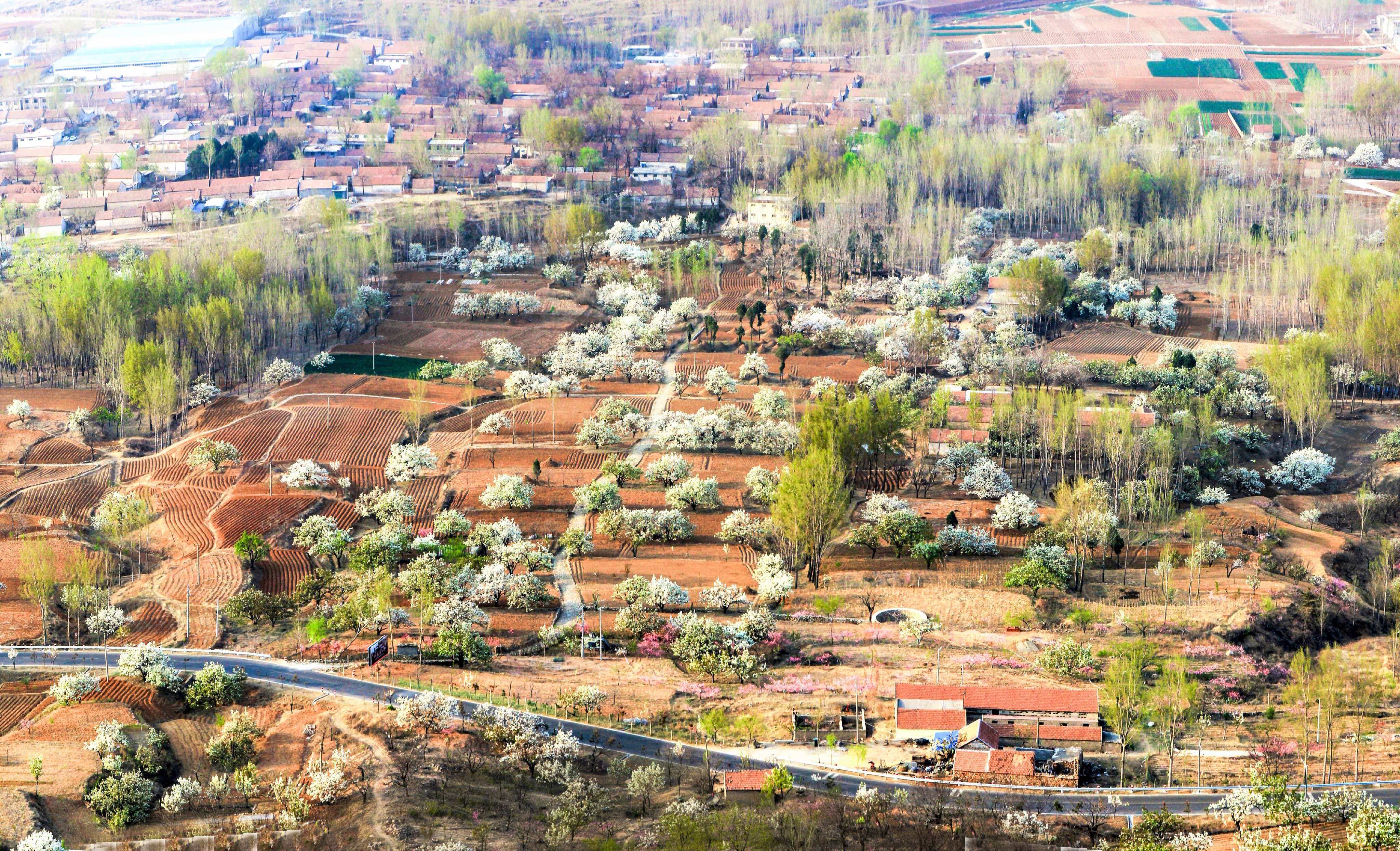 临沂沂南：绘交旅融合新“春”图