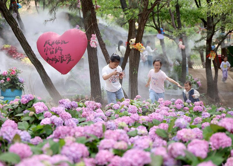 临沂：定格春日